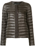 collarless padded jacket