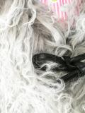 'Muffin Tops' shearling collar