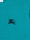 embroidered logo sweater