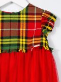 tartan and tulle dress