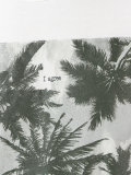 palm tree print T-shirt 