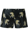 tiger print shorts