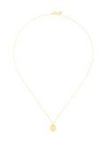 'Zodiac Leo Biography' pendant