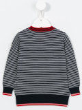 striped V-neck sweater