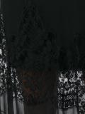 lace overlay a-line skirt