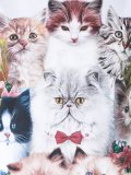 猫印花T恤
