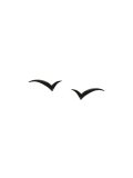 'Fly with Me'耳环