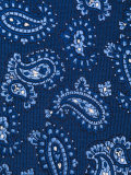 paisley print tie