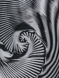 pleated spiral tank 