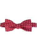 polka dot bow tie
