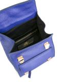 small backpack