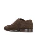 Princeton oxfords