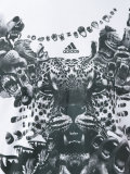 tiger print T-shirt 