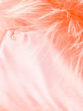 fur collar