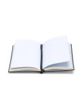 'Consistently inconsistent' notebook