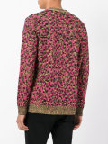 v-neck leopard sweatshirt