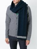 contrast stripe scarf