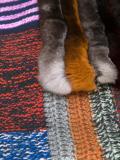 patchwork scarf