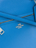 classic tote 