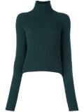 turtle neck jumper