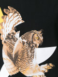 modernist owl print T-shirt