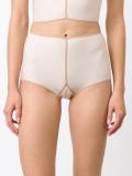 sheer briefs