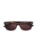 Wayfarer太阳眼镜