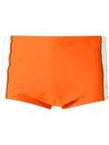 panelled swimming trunks