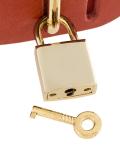Padlock collar