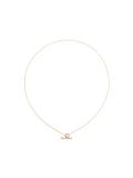 Circle & Pin lariat necklace