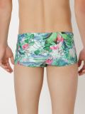 printed swim trunks