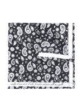 paisley print pocket square