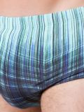 printed swim trunks