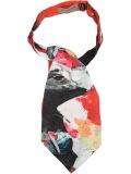 'Ascot'领带