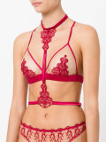 lace suspender body 