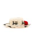 Lamina Aequatoria hat