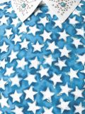 'Star Studded'连衣裙