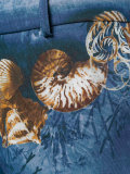 seashells print trousers 
