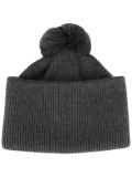 pom pom beanie 