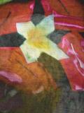 floral photo print scarf