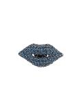 crystal lips brooch