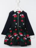 floral embroidered dress