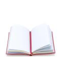 'Blah, blah blah' notebook
