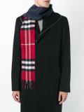 'Parade' scarf