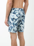 Banana leaf Charles trunks 7
