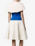 bustier panel A-line dress