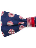 Pajarita bow tie