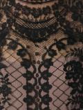 shortsleeved sheer dress