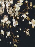 满天星印花半身裙