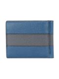 striped portfolio wallet